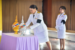 B9A7437