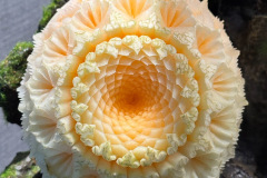 LINE_ALBUM_28869_260901_6