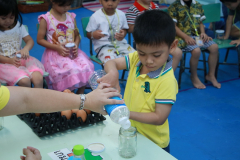 IMG_3252_resize