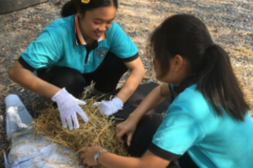 20190301 #2_190301_0016