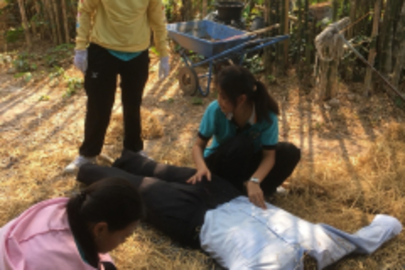 20190301 #2_190301_0019