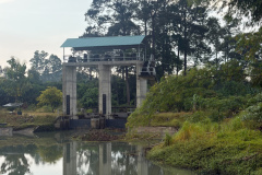 S__83320906_0