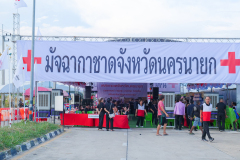 รูป-1