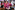 AP7A0148_resize