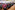 AP7A0159_resize