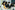 36_resize