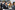 AP7A0381_resize