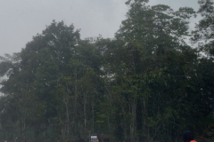 LINE_ALBUM_2026.5.11_260511_18
