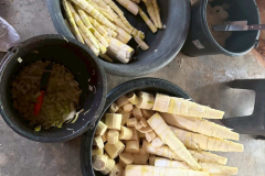 LINE_ALBUM_2026.2.11-_1_260211_12