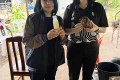 LINE_ALBUM_2026.2.11-_1_260211_2