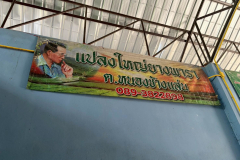 LINE_ALBUM_2026.2.11-_1_260211_22