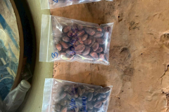 LINE_ALBUM_2026.2.11-_1_260211_8