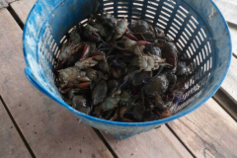 LINE_ALBUM_2022.3.10_220311_15