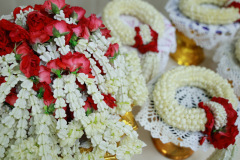 1X1A3626_resize