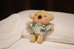 1X1A0466_resize
