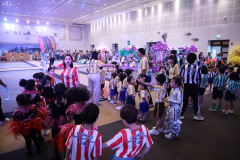 ae-271_resize