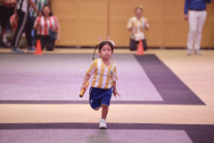 ae-273_resize