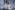 AP7A4325_resize