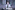 AP7A4328_resize