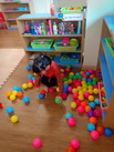 game and move สุพรรณ_190513_0065_resize