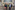 350378_resize