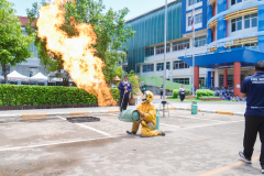 P1357066