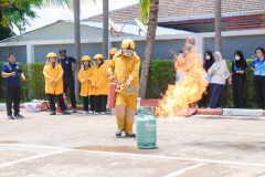 P1357106