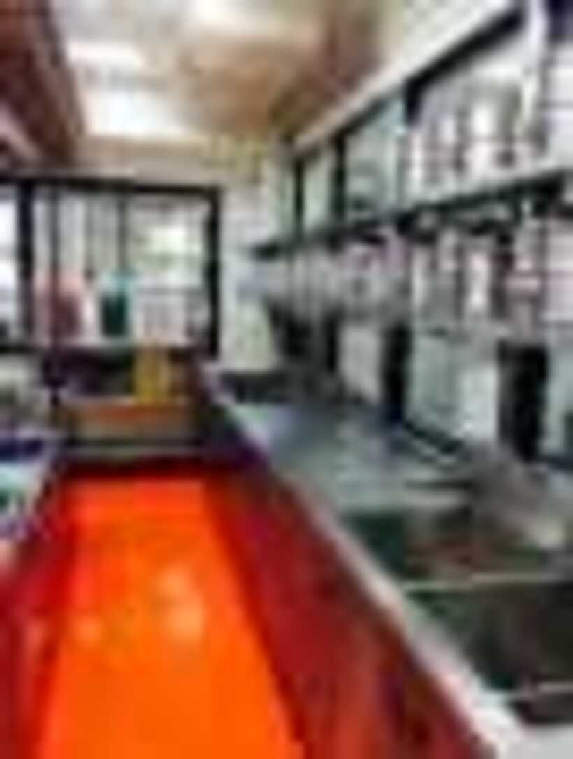 thumbnail_S__6135816