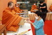 258_resize