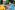 46_resize