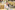 AP7A4766_resize