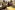AP7A4771_resize