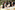 AP7A4837_resize