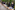 AP7A4846_resize