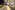 AP7A4860_resize