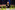 AP7A4996_resize