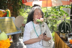 IMG_3489_resize