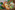 AP7A8980_resize