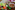 AP7A8981_resize