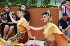6P3A0699_resize