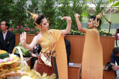 6P3A0701_resize