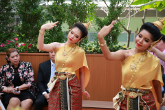 6P3A0704_resize