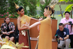 6P3A0705_resize