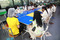 6P3A9876_resize