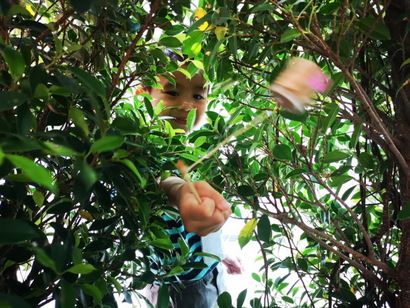 ที่มาของเสียง​ #นครนายก​ 1532562_190315_0003_resize