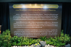 66_resize