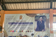 LINE_ALBUM_2026.1.16-_1_260116_3