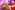 IMG_9783_resize