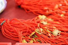 LINE_ALBUM_กิจกรรมวาเลนไทน์-2569-1_260216_13