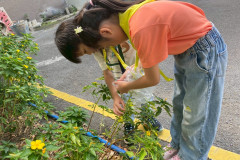 LINE_ALBUM_13369-เดินป่าจำลอง_260314_297